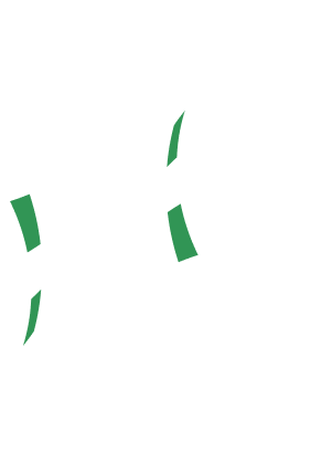ismLogo